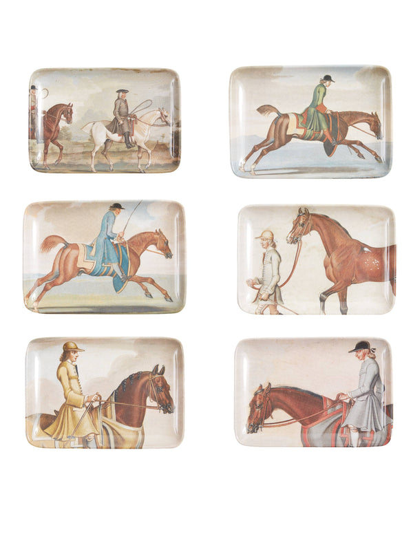 Equine Trays