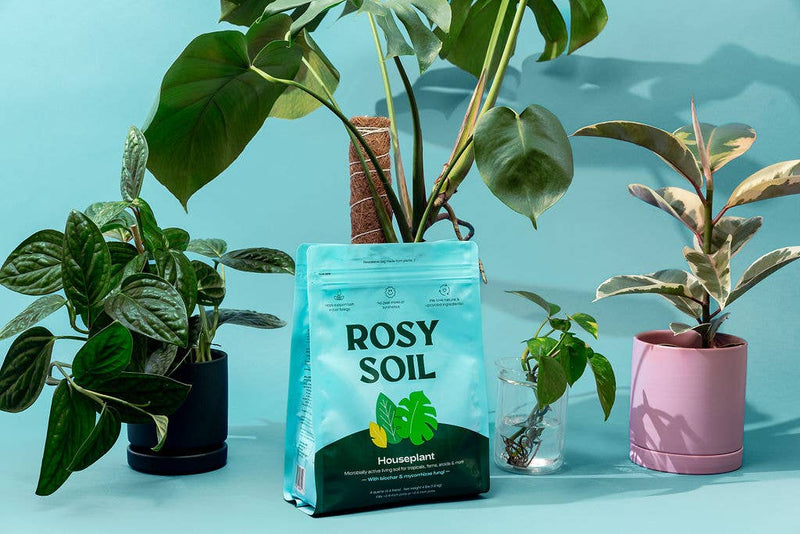 rosy soil indoor potting mix 4qt Organic potting soil mix, indoor, houseplant & herbs – The Margaret Cleveland