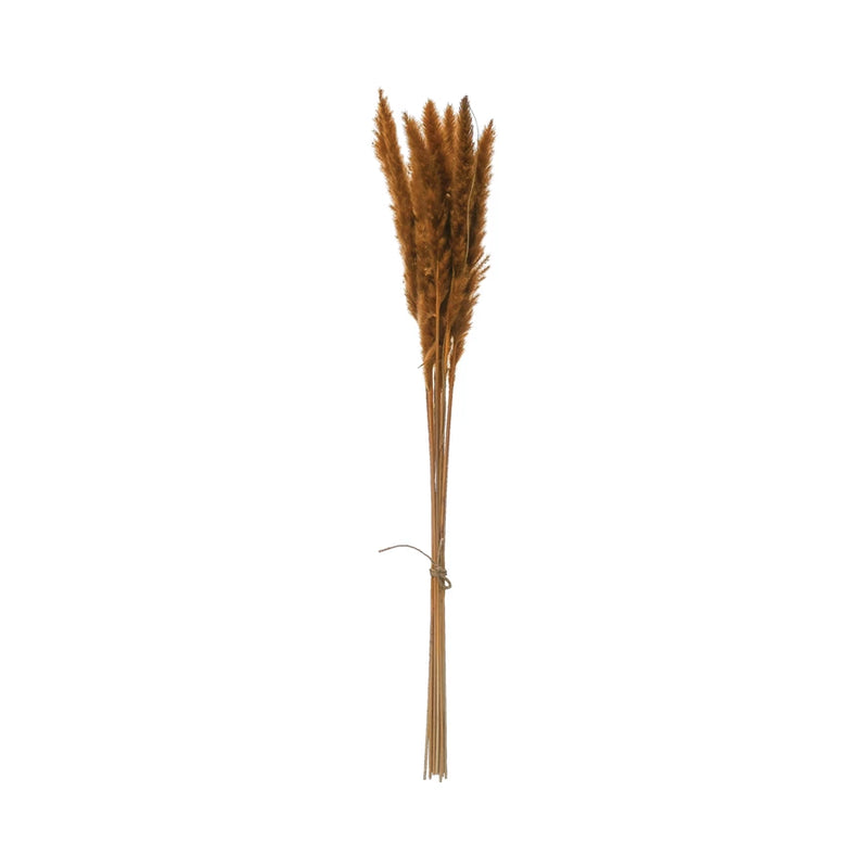 Mustard Color Dried Natural Pampas Grass