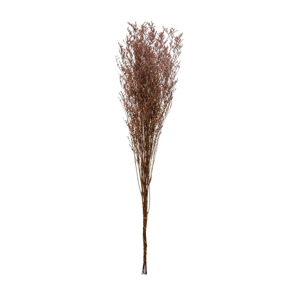 Lavender Color Dried Natural Love Grass