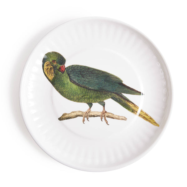 Parrot Lg. Paper Plates Melamine