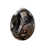 Septarian Dragon Egg Small