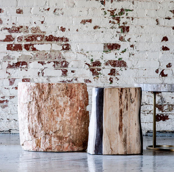 Live Edge Petrified Wood Side Table