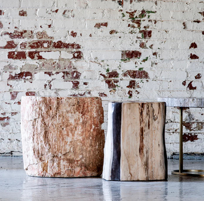 Live Edge Petrified Wood Side Table