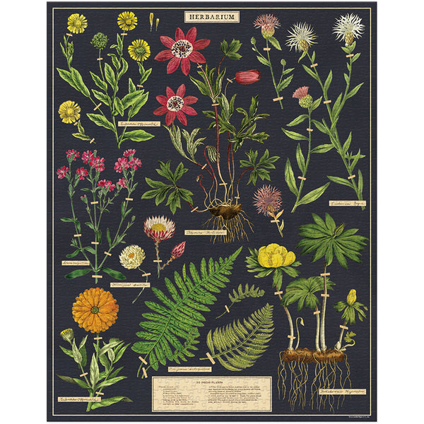 Herbarium 1,000 Piece Puzzle