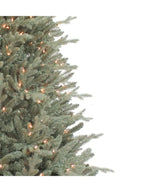 7.5' BLUE SPRUCE PRELT CLR INCND