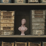 MARIE ANTOINETTE PINK BUST