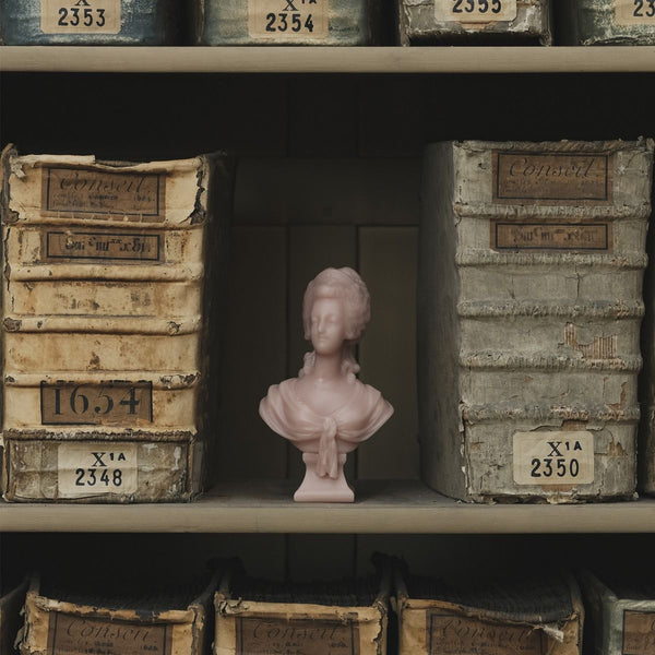 MARIE ANTOINETTE PINK BUST