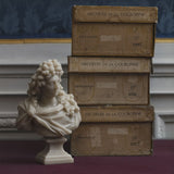 LOUIS XIV STONE BUST