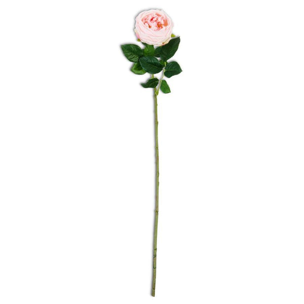 24" Pink Real Touch Austin Rose Stem