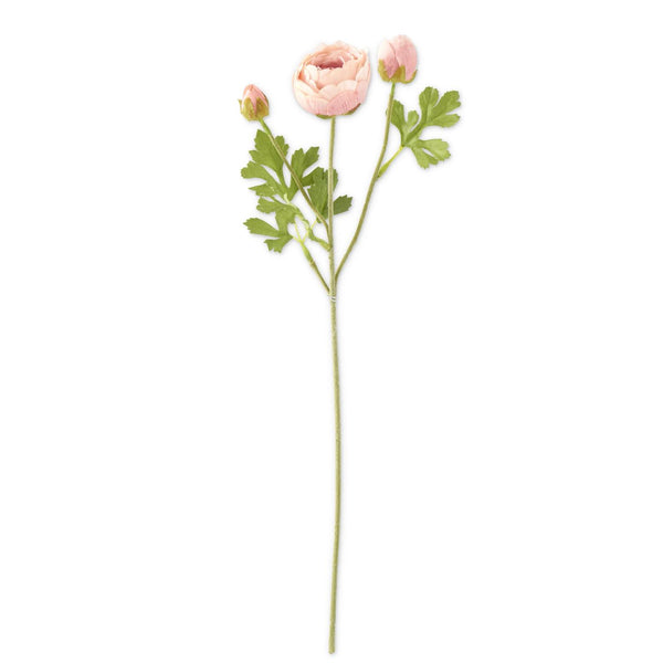 23" Light Pink Real Touch 3 Head Ranunculus Stem