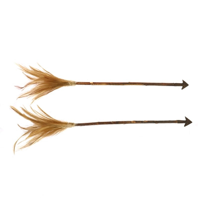 Arrows, Feather - Box of 6, Assorted