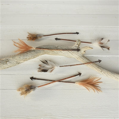 Arrows, Feather - Box of 6, Assorted