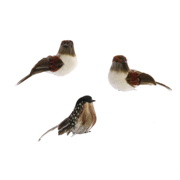 Birds on Clips, Feather - Assorted - Box of 3 - Assorted