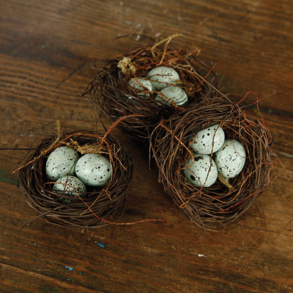 Bluebirds Nest