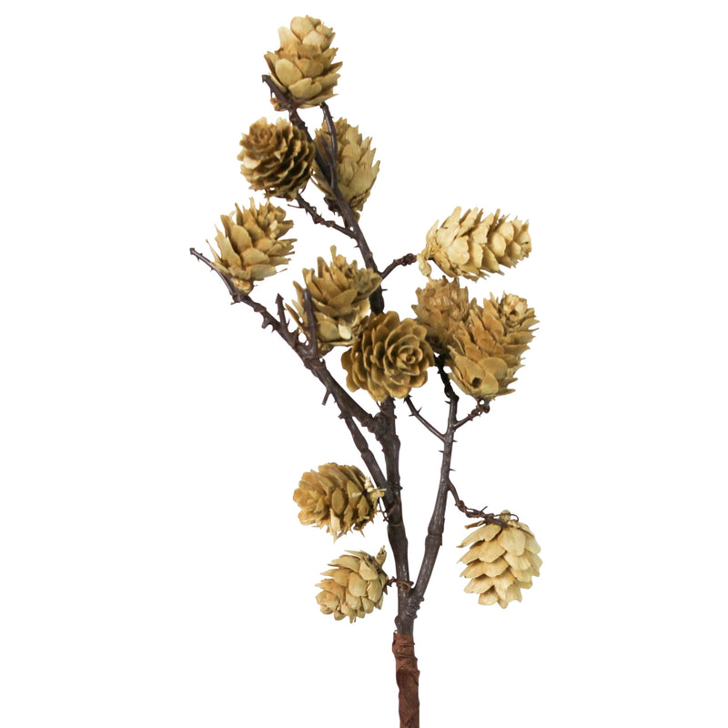 Botanical Stem - Mini Pinecone, White