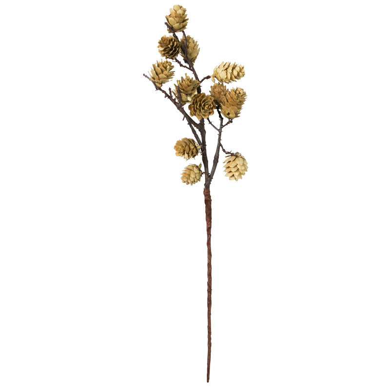 Botanical Stem - Mini Pinecone, White