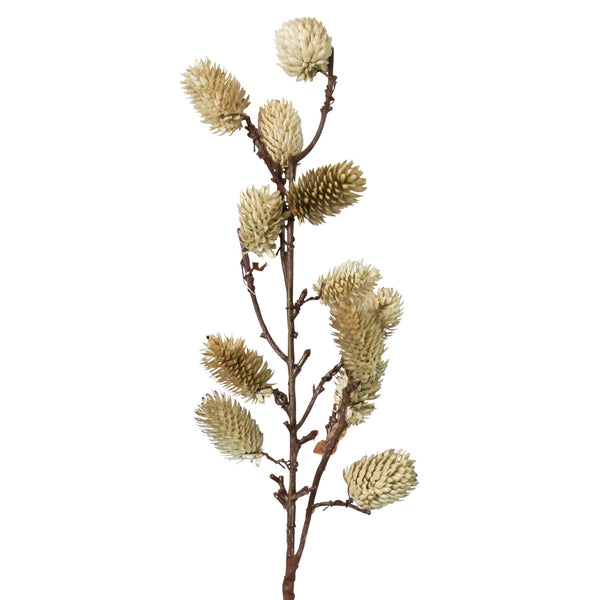 Botanical - White Sage