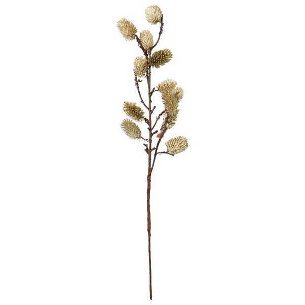 Botanical - White Sage