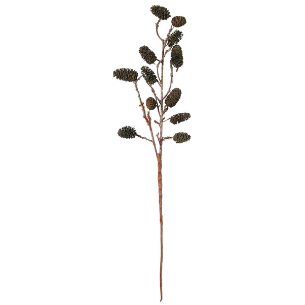 Botanical - Seaside Alder