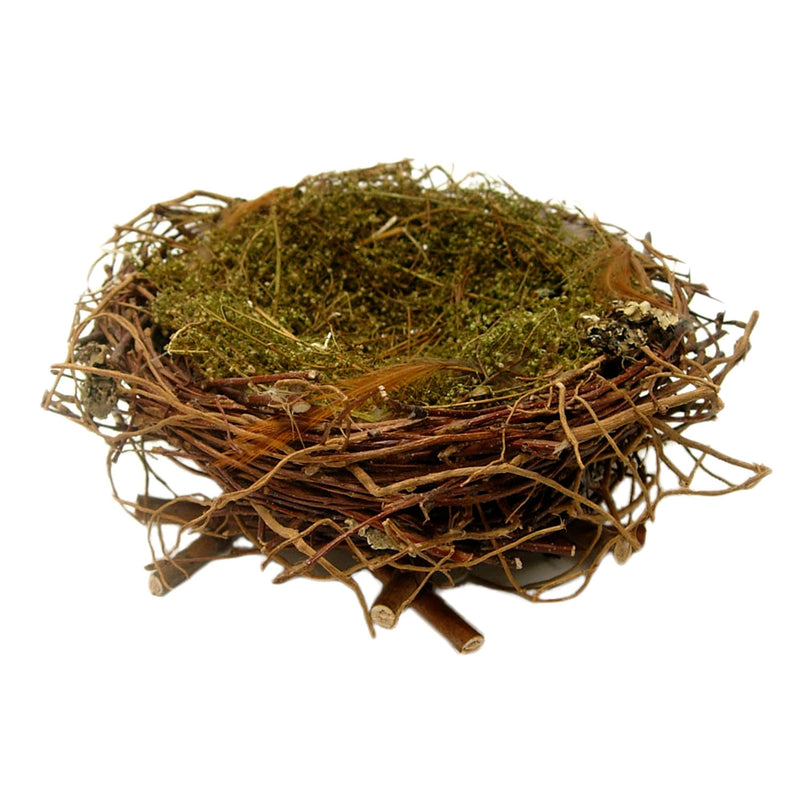 Wrens Nest - Lrg