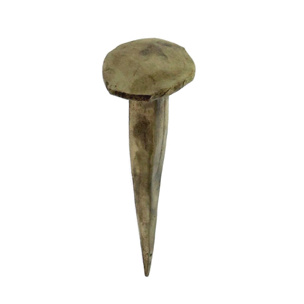 Forged Iron Nail - Brass