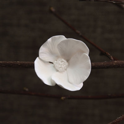 Bone China Dogwood Flower - White