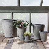 Rustic Terra Rose Pot - Petite - Moss Grey