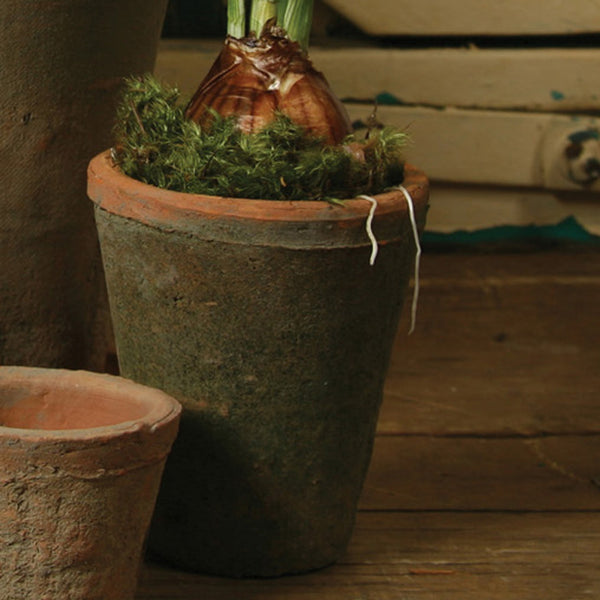 Rustic Terra Rose Pot - Med - Antique Red