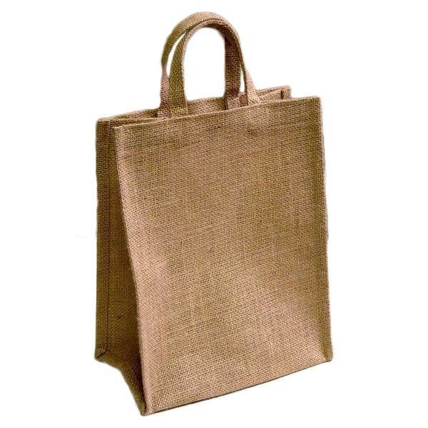 Grocery Bag - Sm - Plain