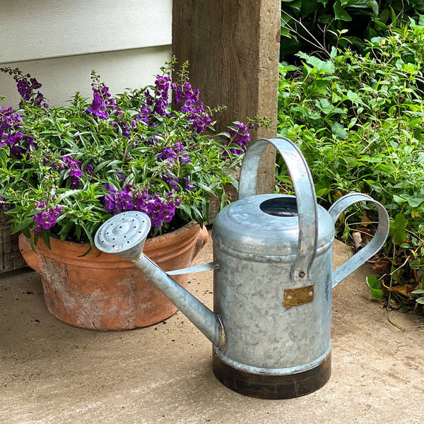 Petite Potager Metal Watering Can