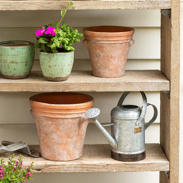 Petite Potager Metal Watering Can