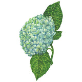 Hydrangea Table Accent - set of 12