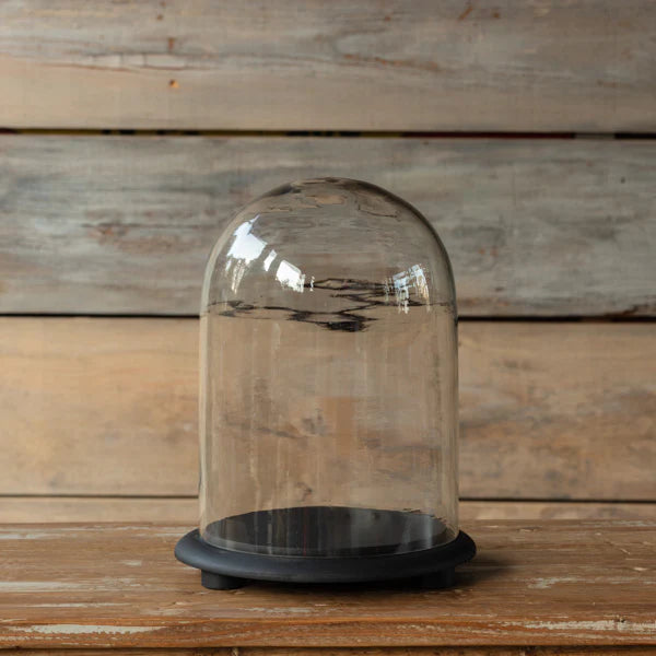 VINTAGE STYLE GLASS DISPLAY DOME WITH BASE MEDIUM