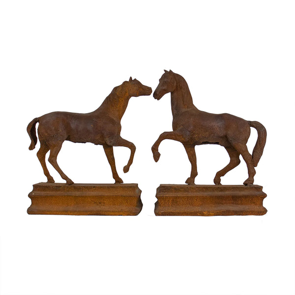 Thoroughbred Horse