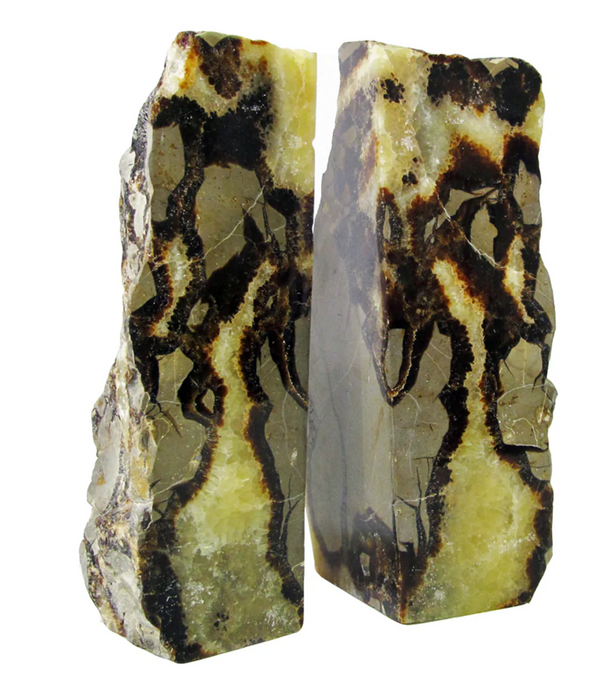 Septarian Bookends, Medium