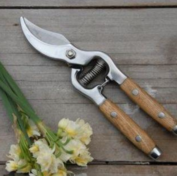 Secateurs wood handle