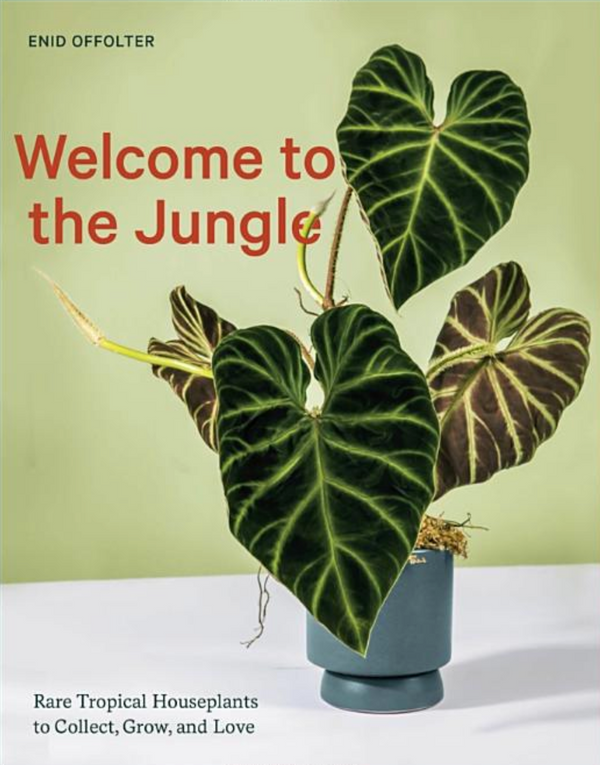 Welcome to the Jungle by Enid Offolter