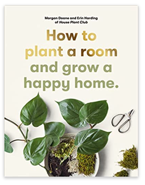 How to plant a room and grow a happy home