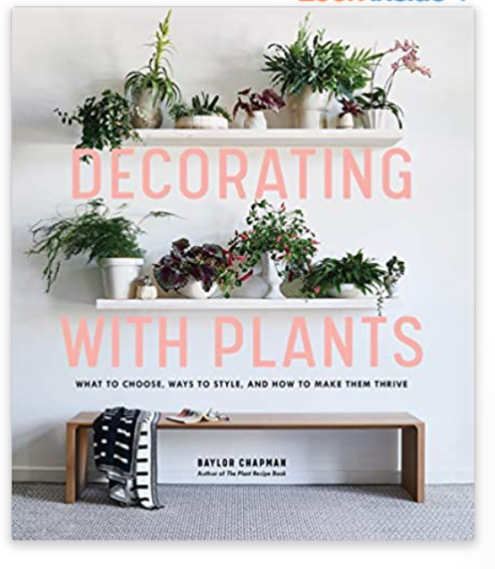 Decorating with Plants