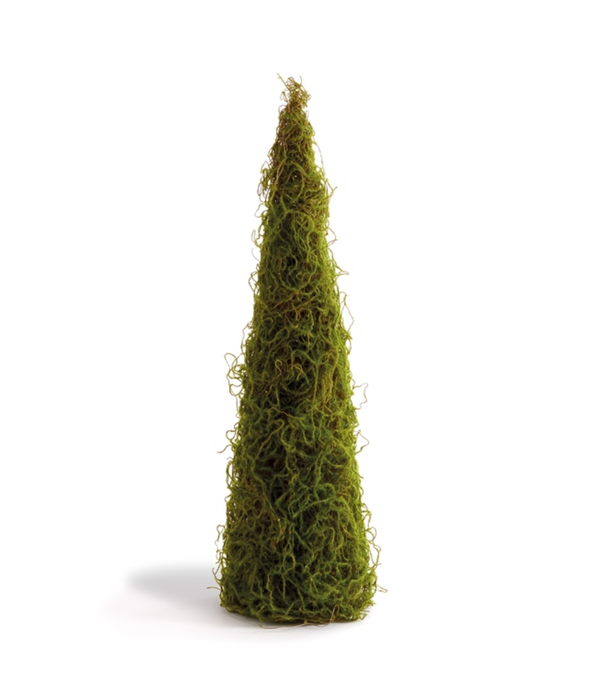 MOSSY CONE TOPIARY 26"H