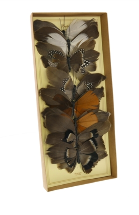Feather Butterflies on Clip - Box of 8 Assorted - Natural