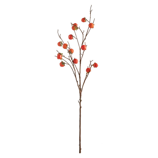 PERSIMMON BRANCH 60"