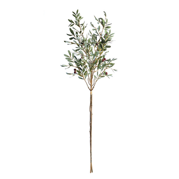 OLIVE BRANCHES WITH OLIVES 43"