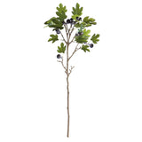 FIG BRANCH WITH FIGS 46"