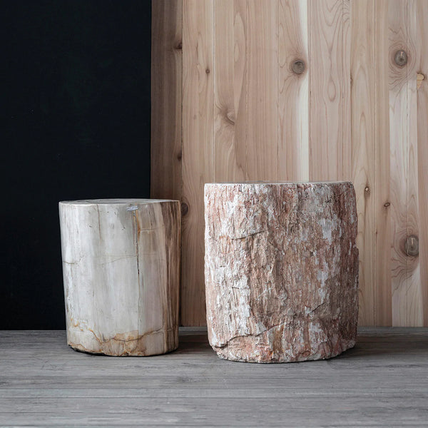 Polished Petrified Wood Side Table